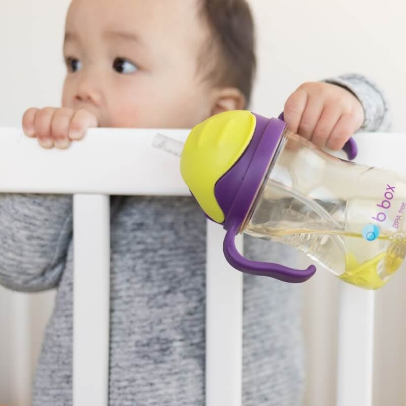 b.box PPSU Sippy Cup - 240mls