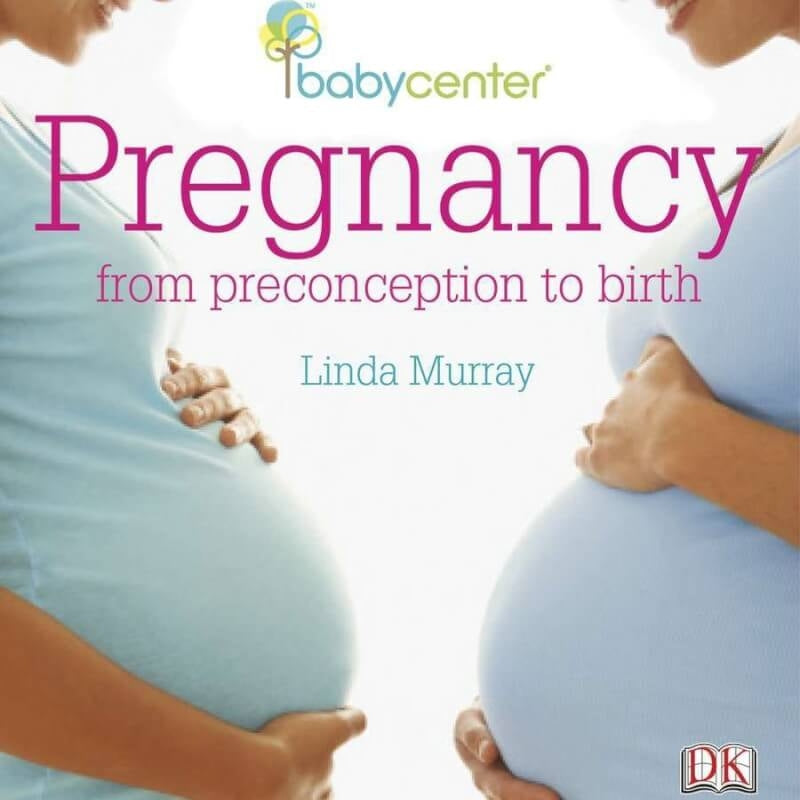 Books Pregnancy: From Preconception to Birth
