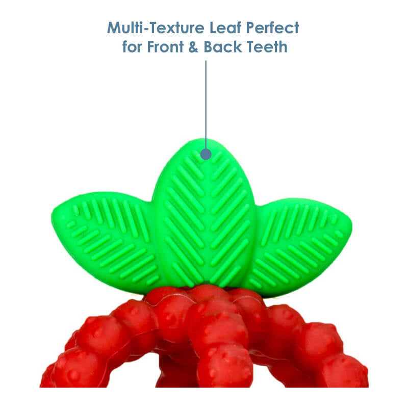RaZbaby Raz-Berry Bites Teething Toy 3m+ 1 Toy