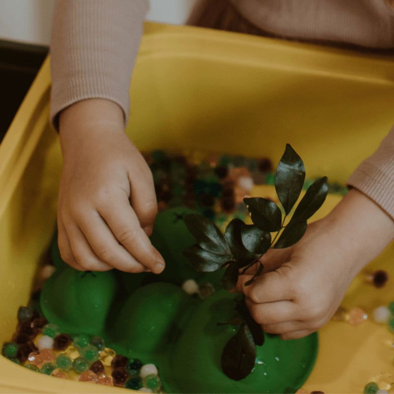 Jellystone Designs 感官場景配置器 - 雨林