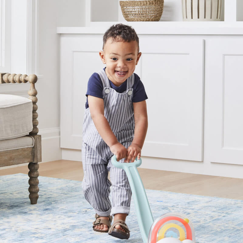 Skip Hop Silver Lining Cloud Rainbow Push Toy