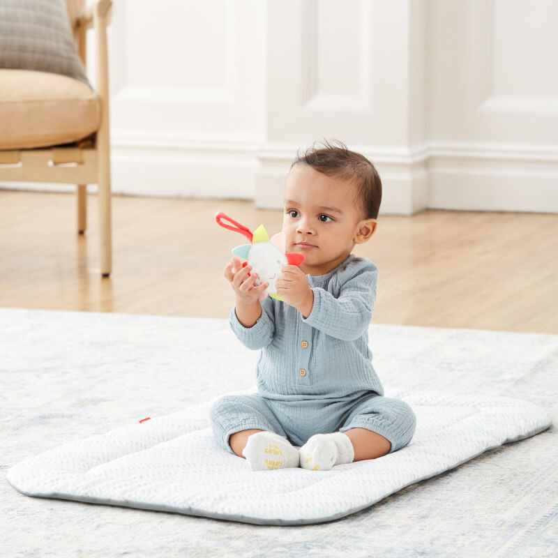 Skip Hop Silver Lining Cloud Wooden Activity Gym