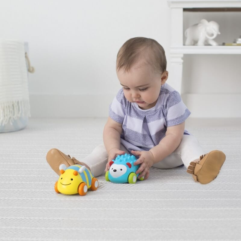 Skip Hop Explore & More Pull & Go 玩具車 - 刺猬