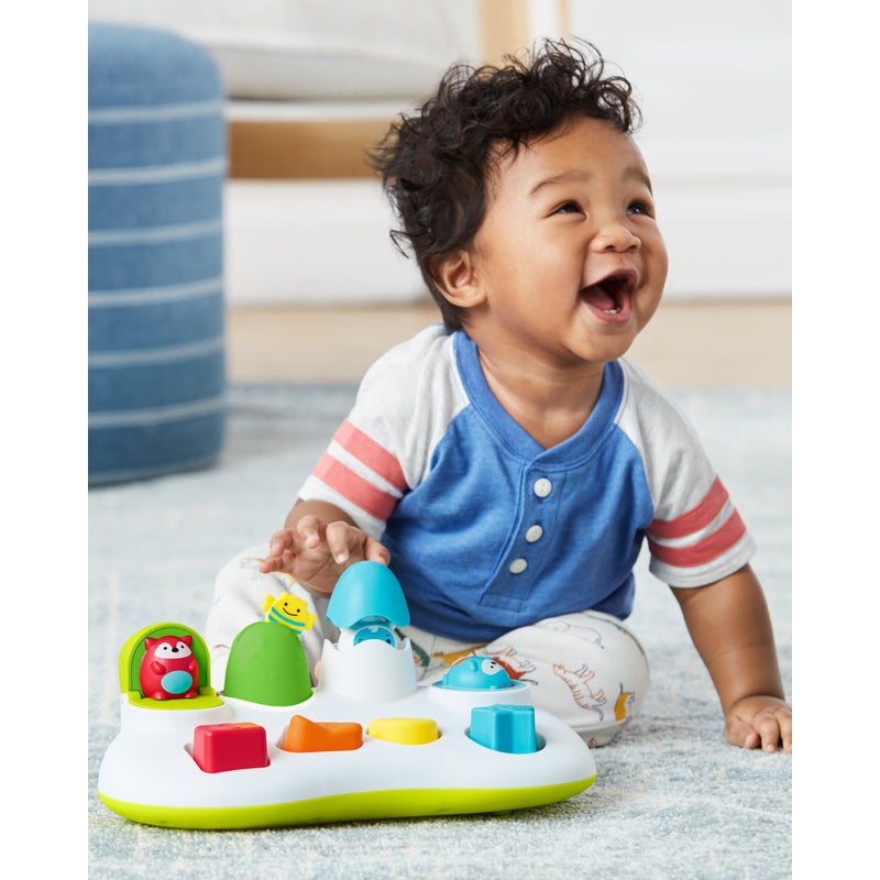 Skip Hop Explore & More Pop-Up Toy