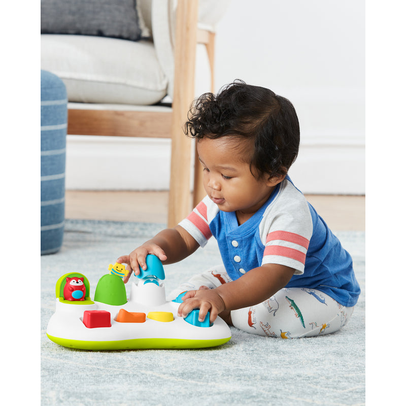 Skip Hop Explore & More Pop-Up Toy