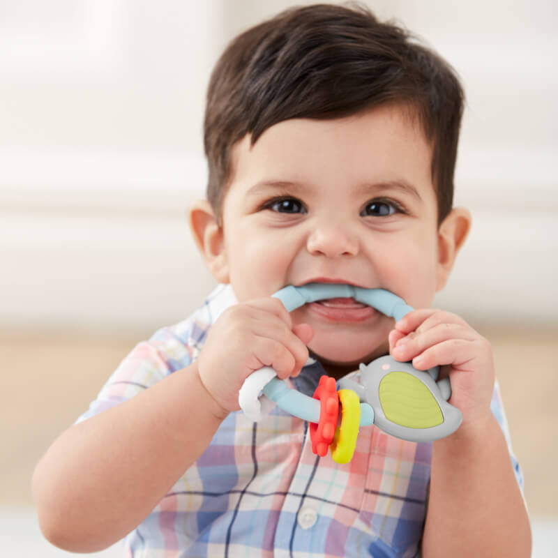 Skip Hop Silver Lining Cloud Teether & Play Toy - Bird