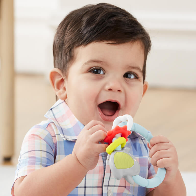 Skip Hop Silver Lining Cloud Teether & Play Toy - Bird