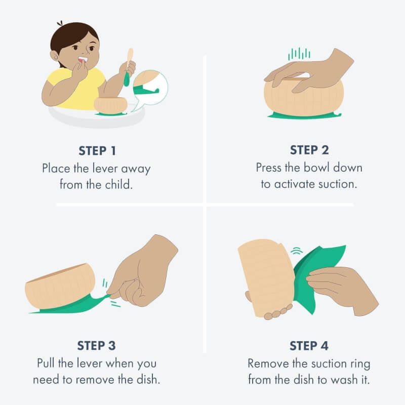 Avanchy Stainless Steel Suction Baby Bowl + Air-Tight Lid