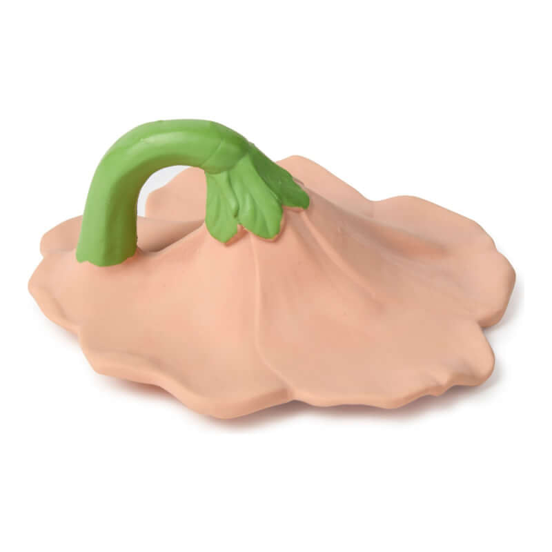 Oli&Carol Teether & Bath Toy - Garden - Iris the Hibiscus