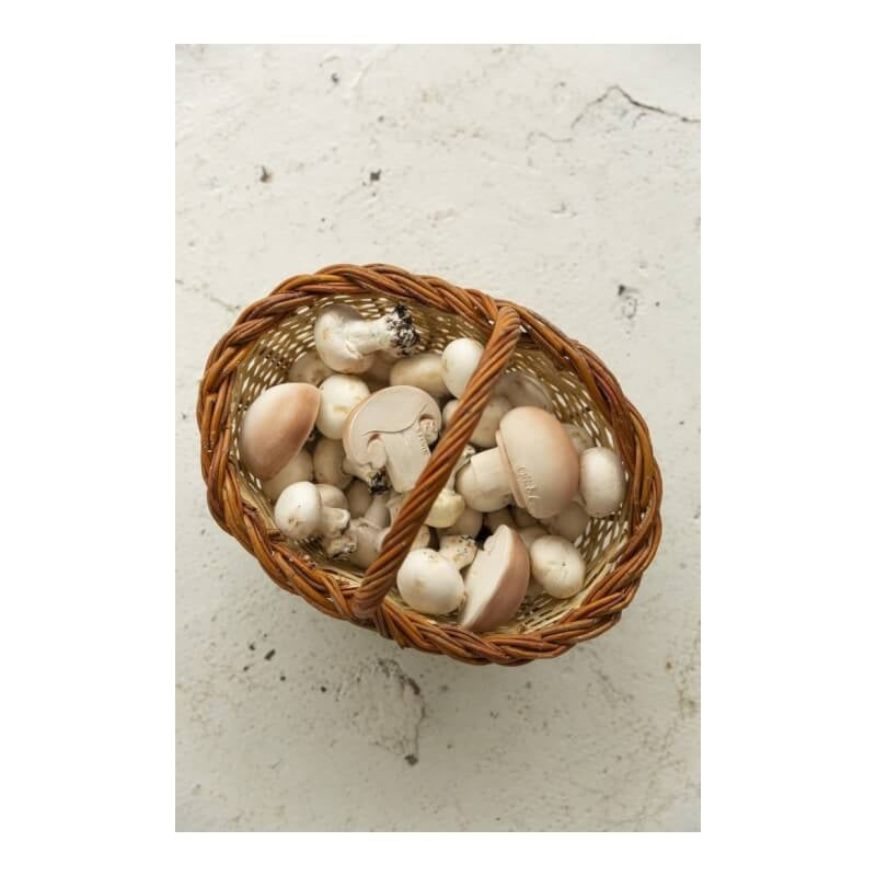 Oli&Carol Teether & Bath Toy - Fruits & Veggies - Manolo the Mushroom