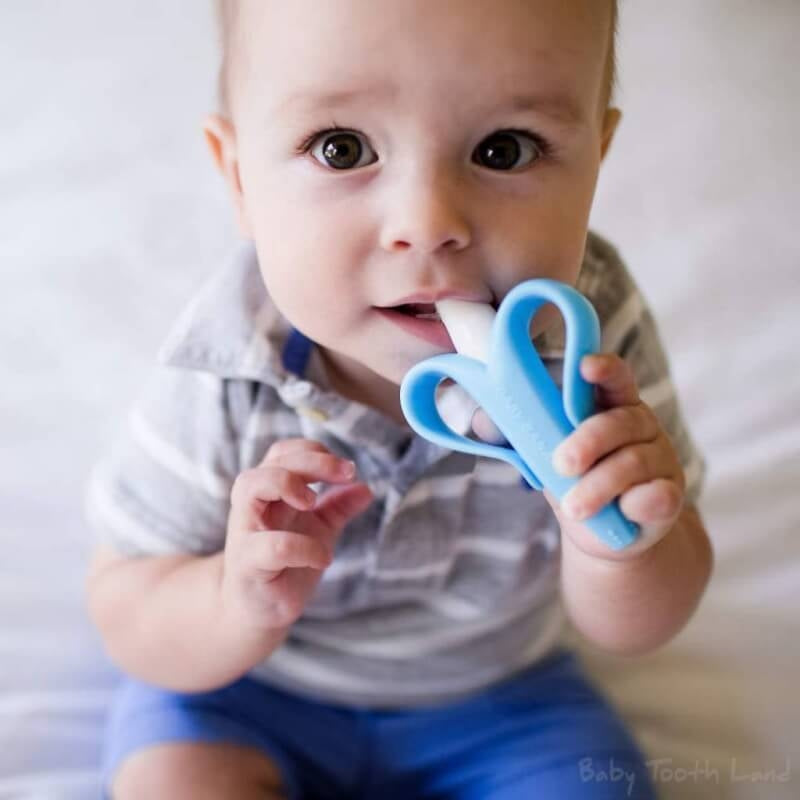 Baby Banana Training Toothbrush for Infants (0-12mos) - Blue