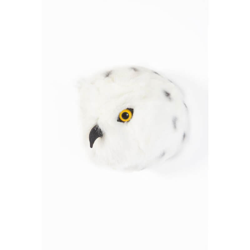 Wild & Soft Trophy Animal Head - Chloe the Snowy Owl