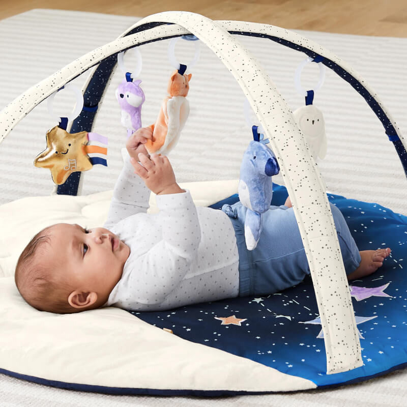 Skip Hop Celestial Dreams Activity Gym