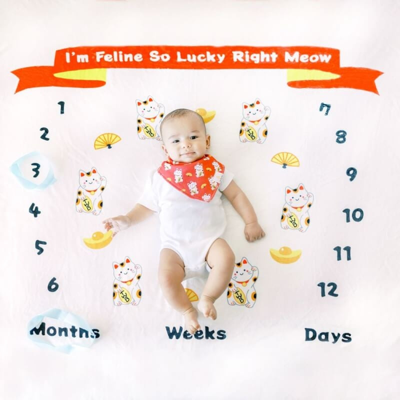 The Wee Bean Welcome Home Baby Gift Set - Fortune Cat Maneki Neko Collection