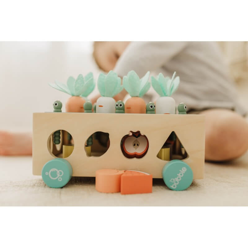 Bubble Wooden Vegetable Garden