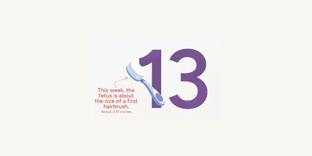 Pregnancy Week by Week: Week 13