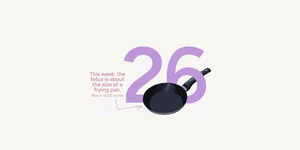 Pregnancy Week by Week: Week 26