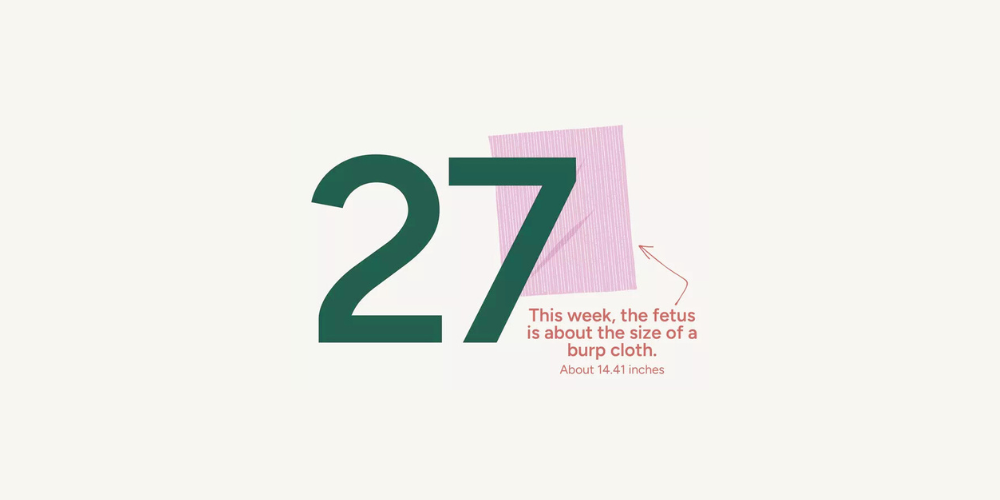 Pregnancy Week by Week: Week 27
