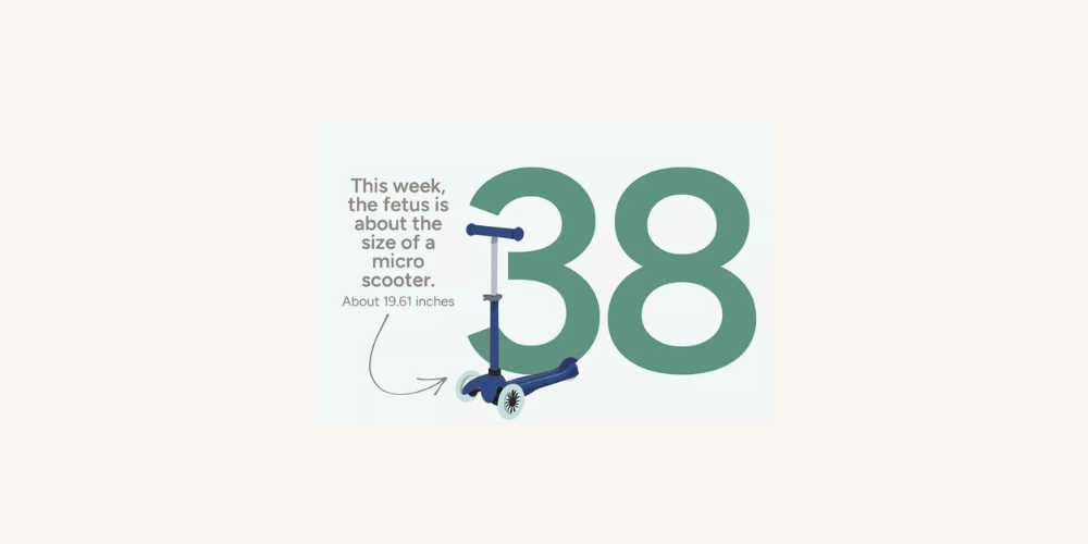 Pregnancy Week by Week: Week 38