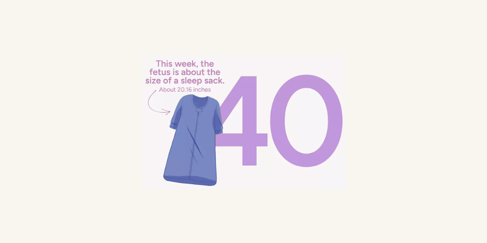 Pregnancy Week by Week: Week 40