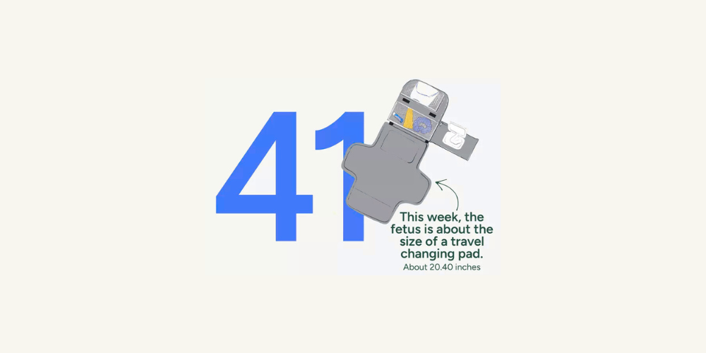 Pregnancy Week by Week: Week 41