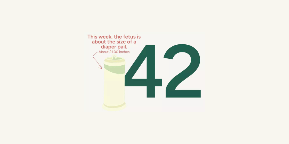 Pregnancy Week by Week: Week 42