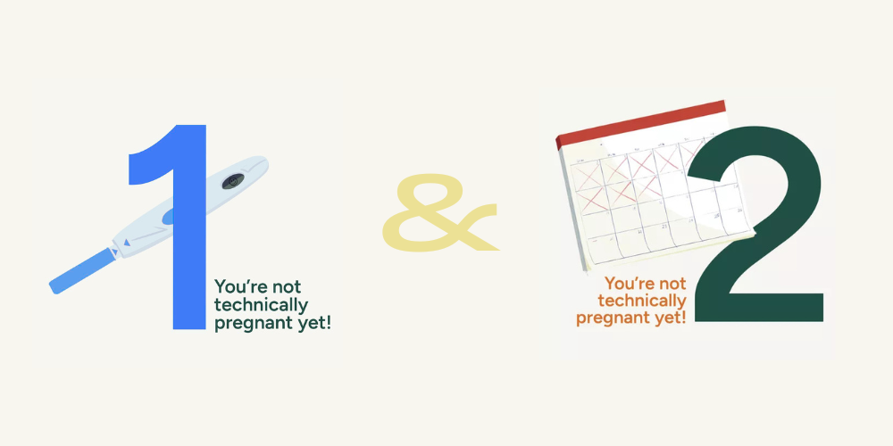 Pregnancy Week by Week: Week 1 and 2