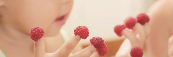 Finger Foods & Snacks