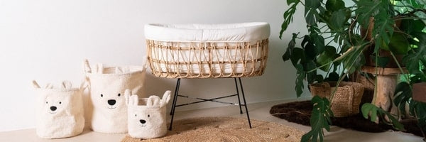 Moses Baskets & Stands