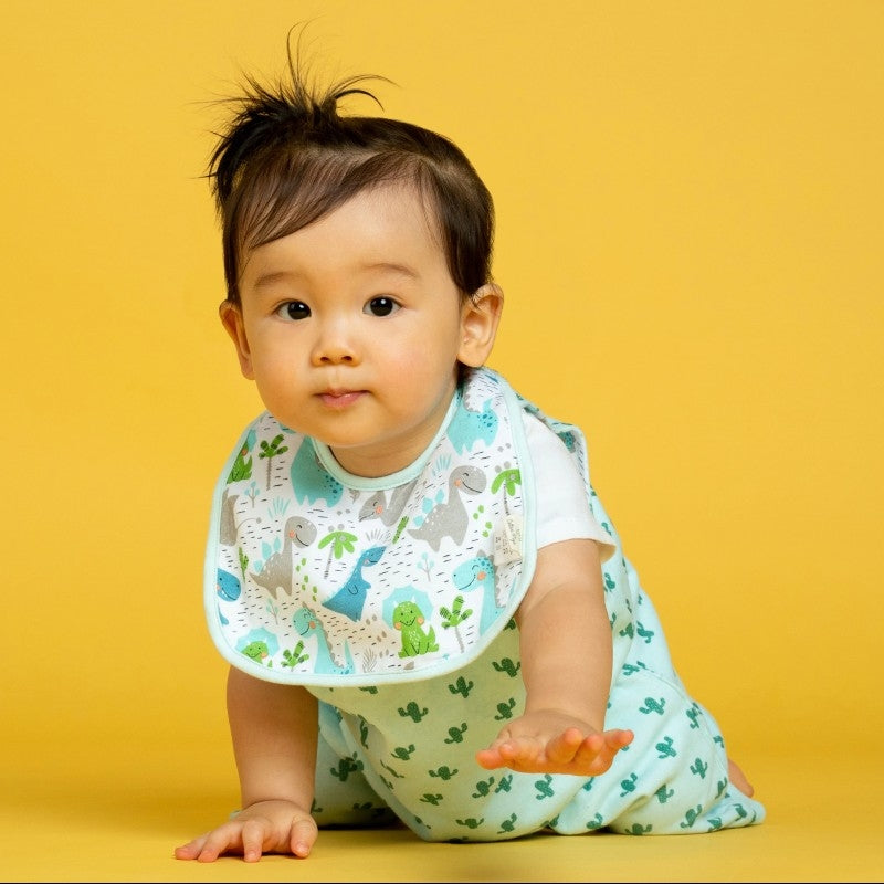 Cotton Pigs Organic Reversible Bib - Dino & Cactus