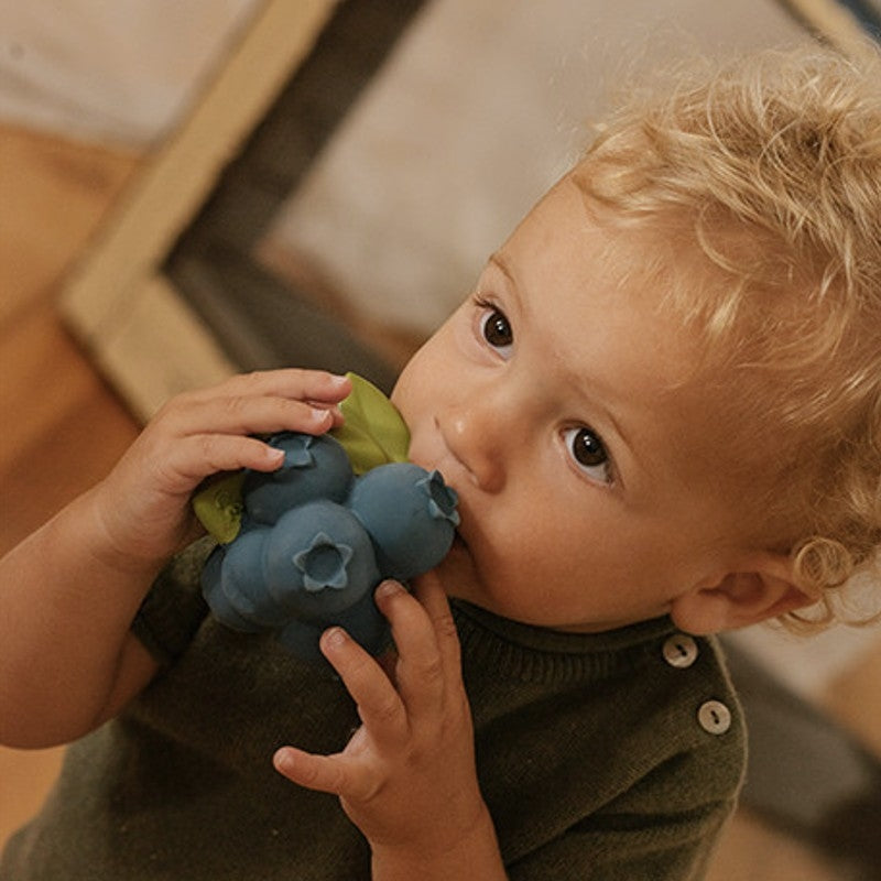 Oli&Carol Teether & Bath Toy - Nuts & Forest Fruits - Jerry the Blueberry