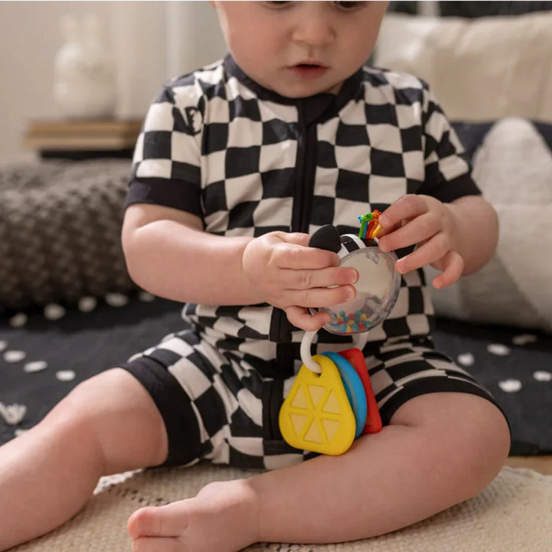 Baby Einstein™ Shake A Shape Zen Teether Toy