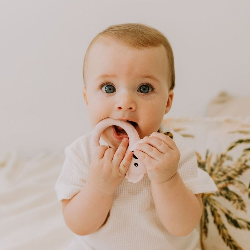 Jellystone Designs Koala Teether - Pink Salt