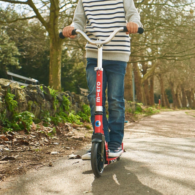 Micro Scooter Cruiser