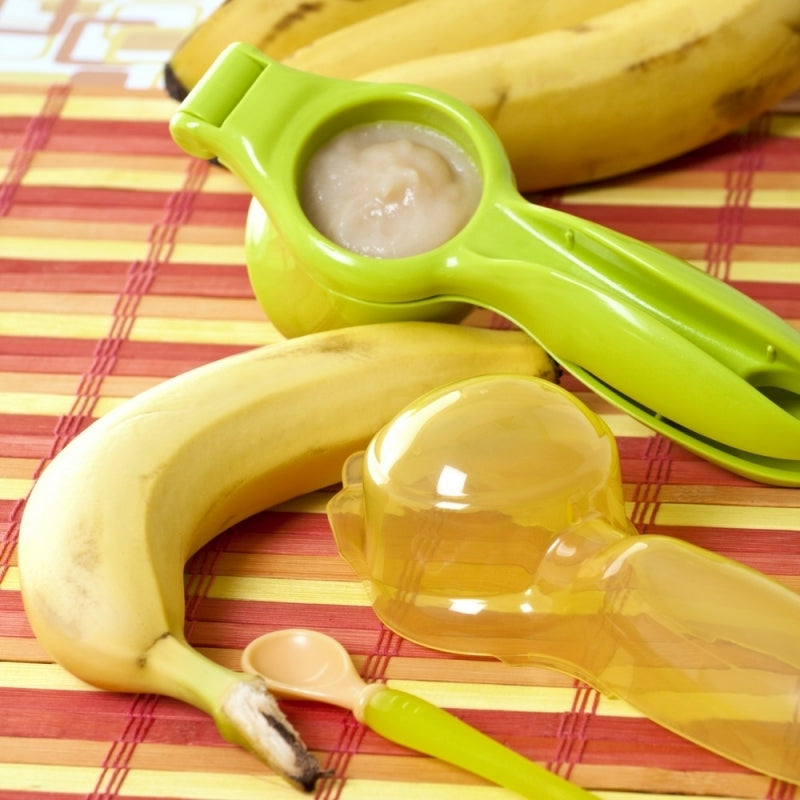 Nuby Garden Fresh - Fresh Food Baby Press with bottle