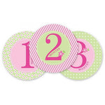 Pearhead First Year Belly Stickers - Pink