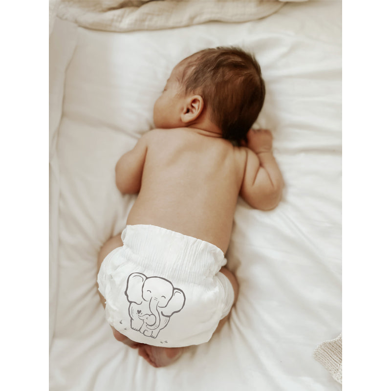 Parasol Clear+Dry Natural Diapers Size 1/NB - 44x4pcs