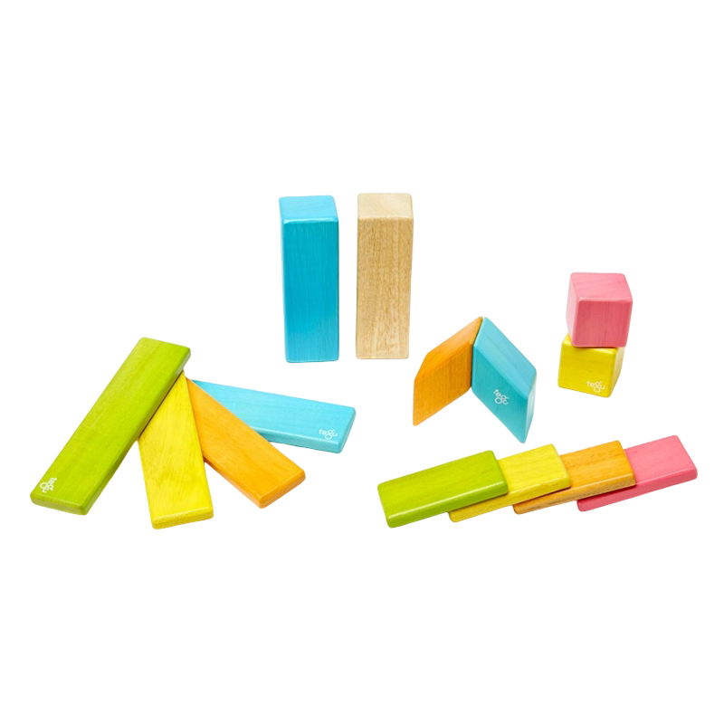 Tegu 14-Piece Set - Tints