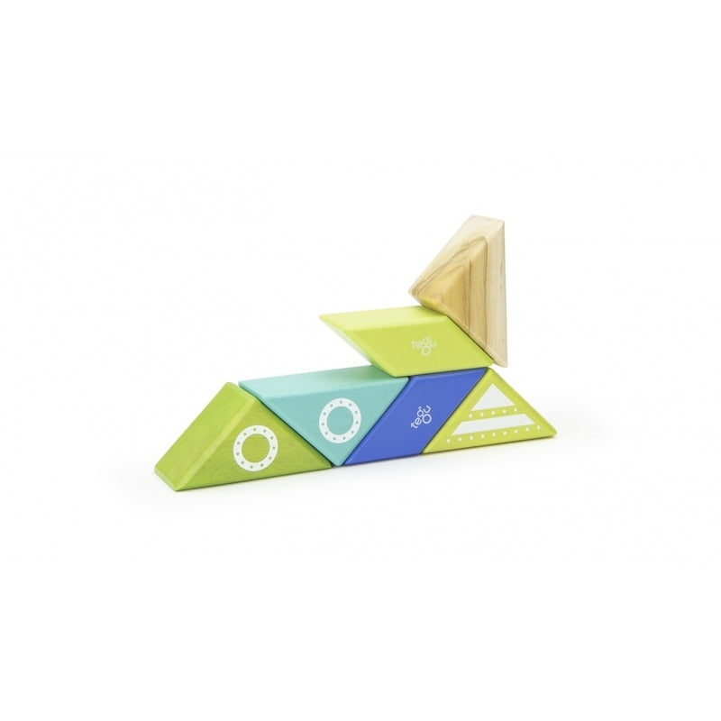 Tegu Travel Pal - Spaceship