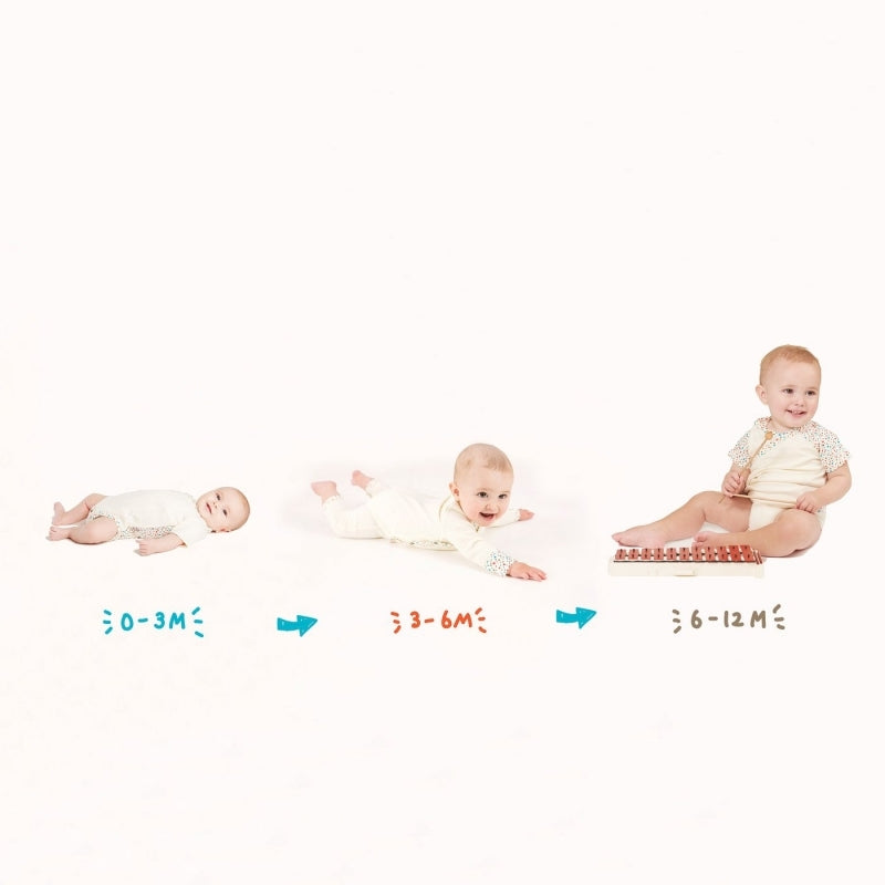 TinyBitz Summer Growing Kit for Newborn Babies (Tiny Dots)