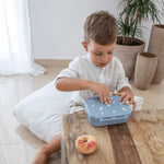 Citron Absolut Tritan Snackbox with 3 Compartments - Vehicles