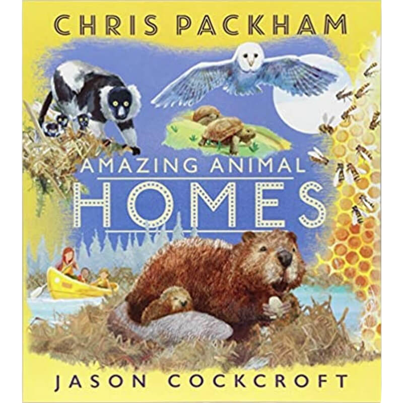 Books Amazing Animal - Homes