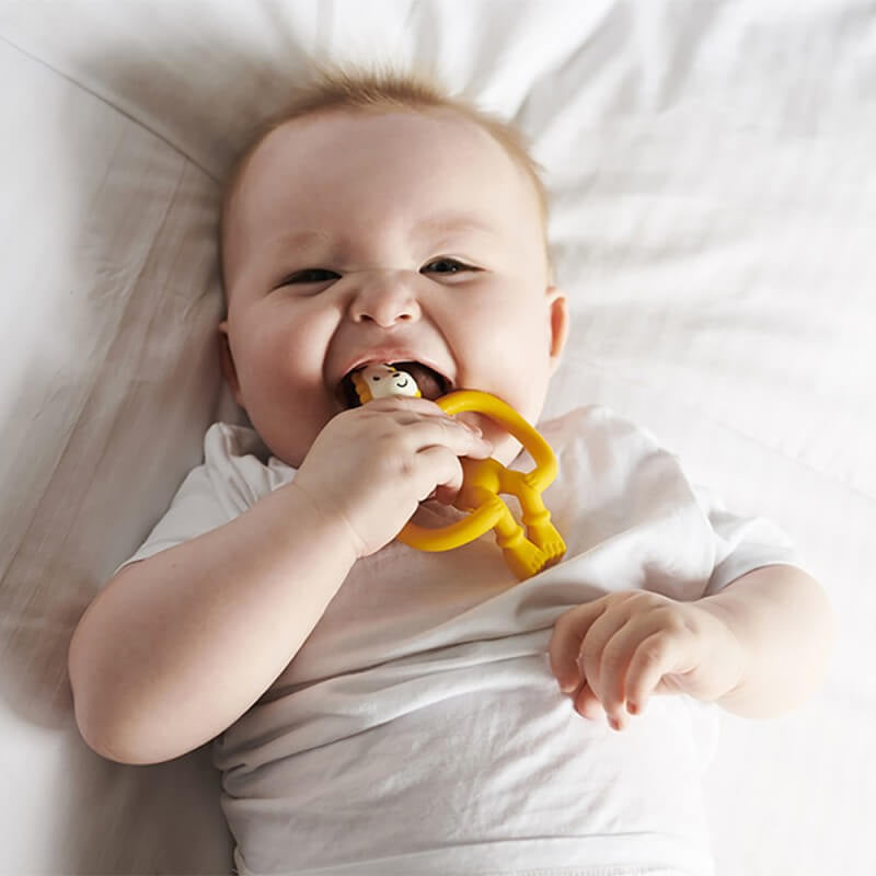 Matchstick Monkey Animal Teether - Ludo Lion