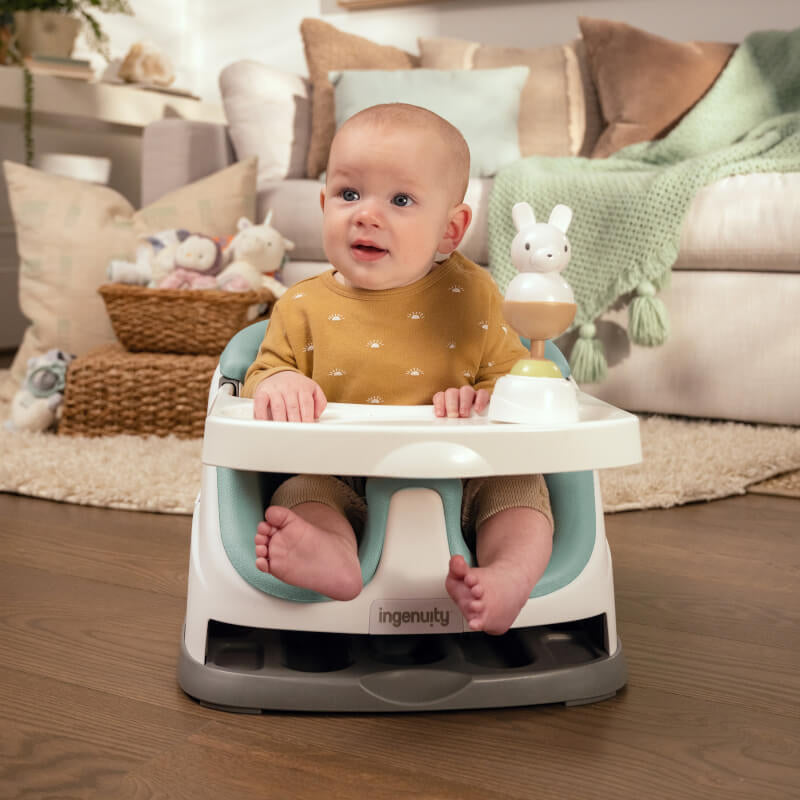 Ingenuity™ Baby Base 2-in-1™ Seat - Mist