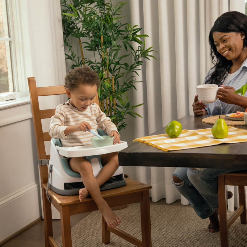 Ingenuity™ Baby Base 2-in-1™ Seat - Mist