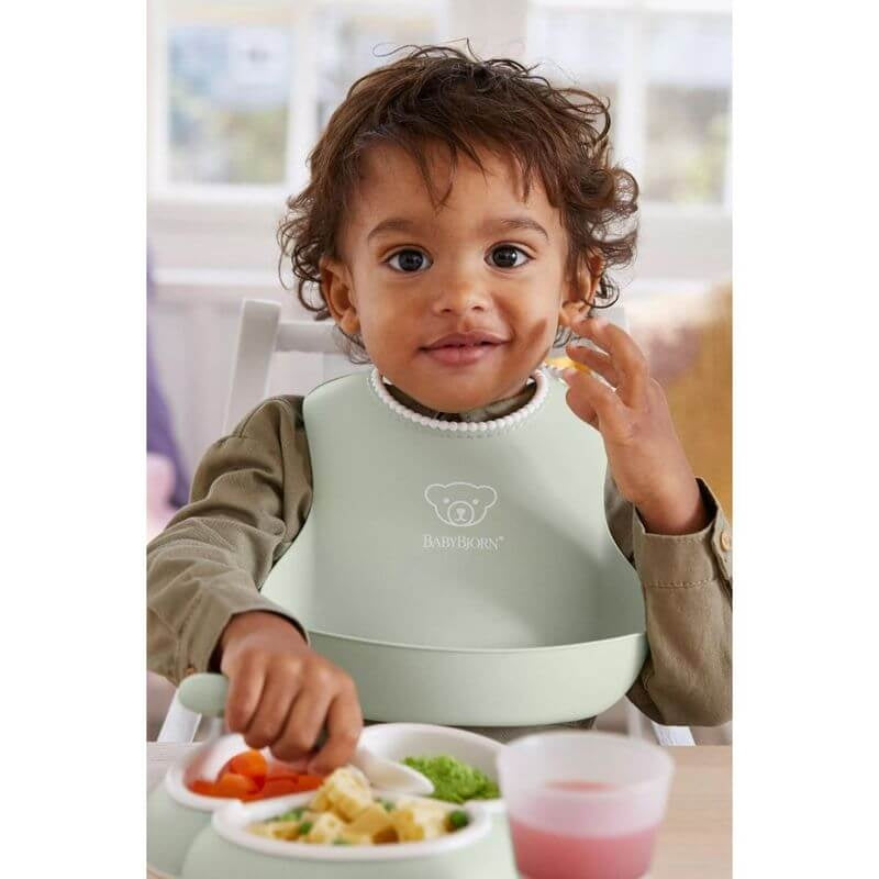 BabyBjorn Baby Bib - 2 Pack