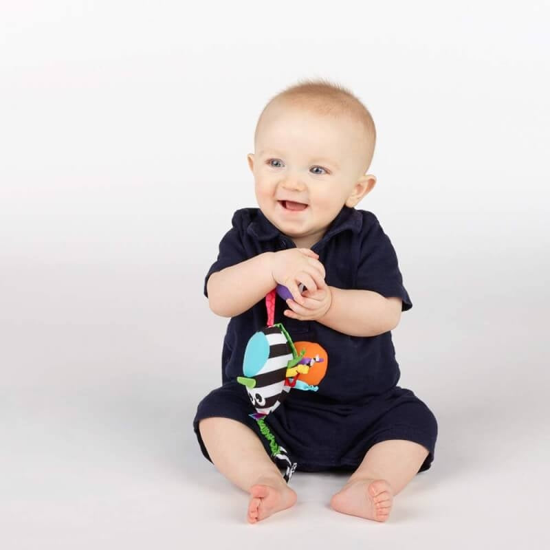 Sassy Baby Boppin' Birdie
