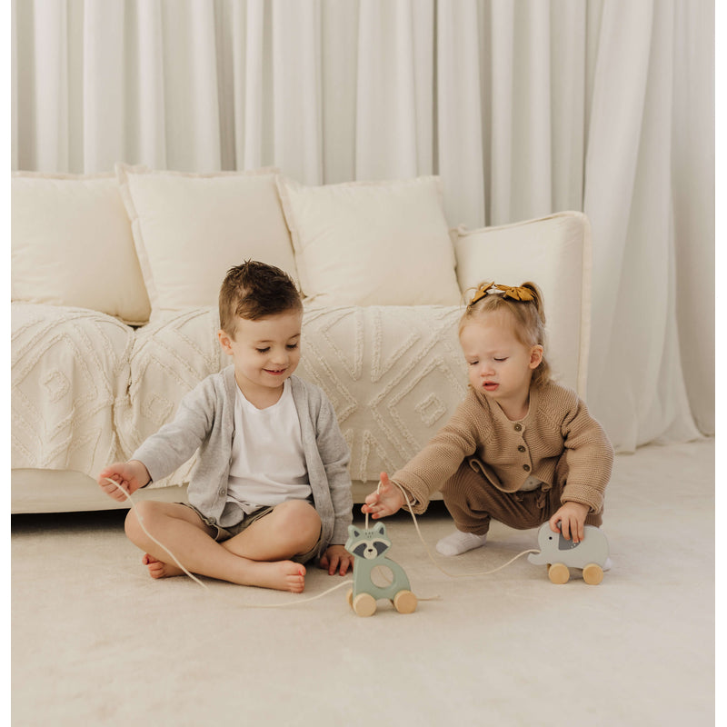 Bubble  Wooden Raccoon Pull Along Toy