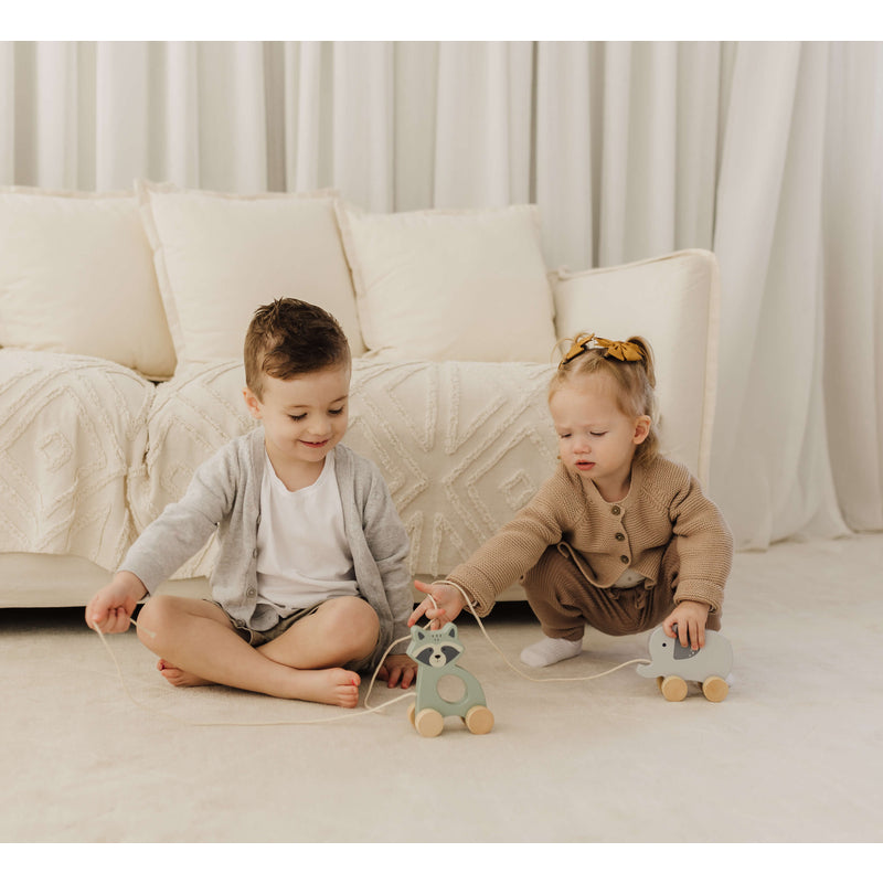 Bubble  Wooden Raccoon Pull Along Toy