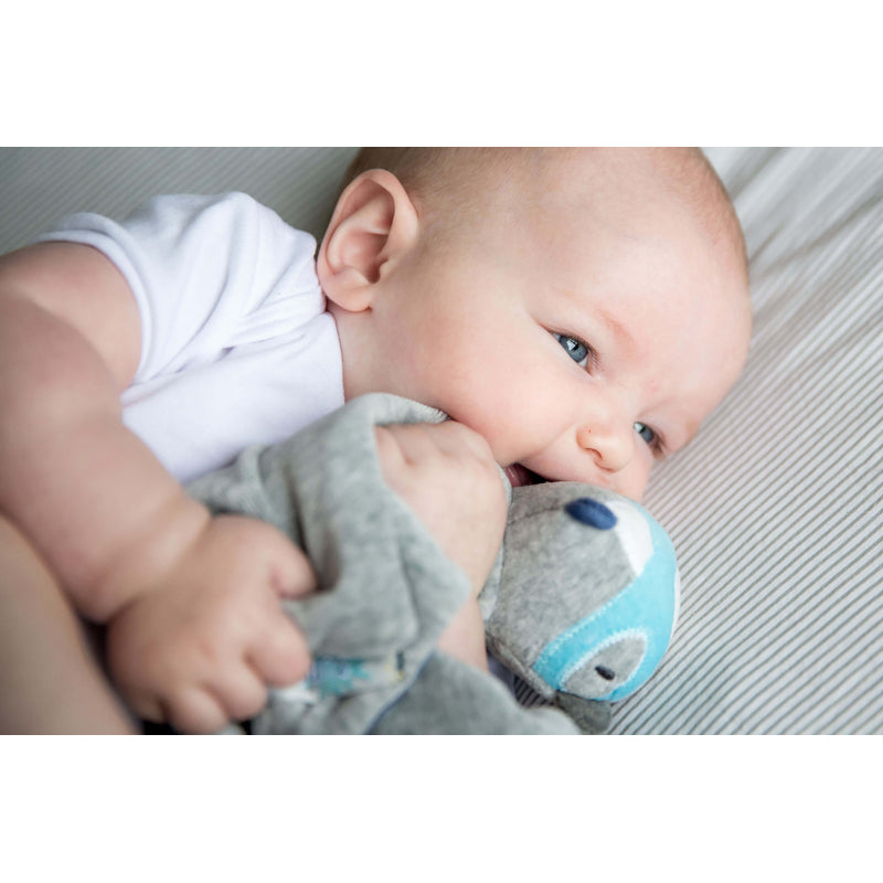 泡泡被 - 閃光狐狸